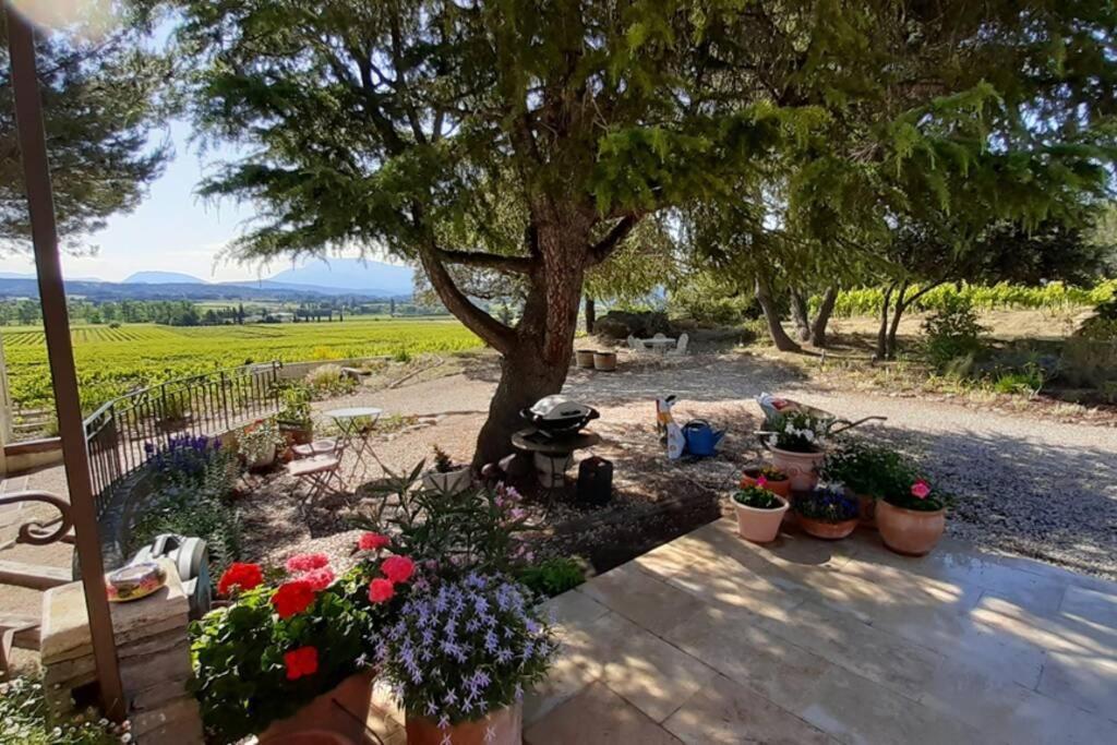 Le clos des pins, vue mont Ventoux Roaix Exterior foto